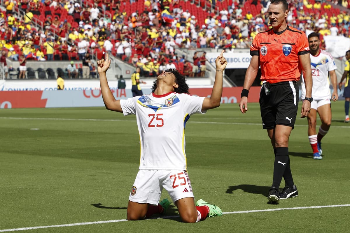 Siete pelotazos certeros en el tercer día de la Copa América