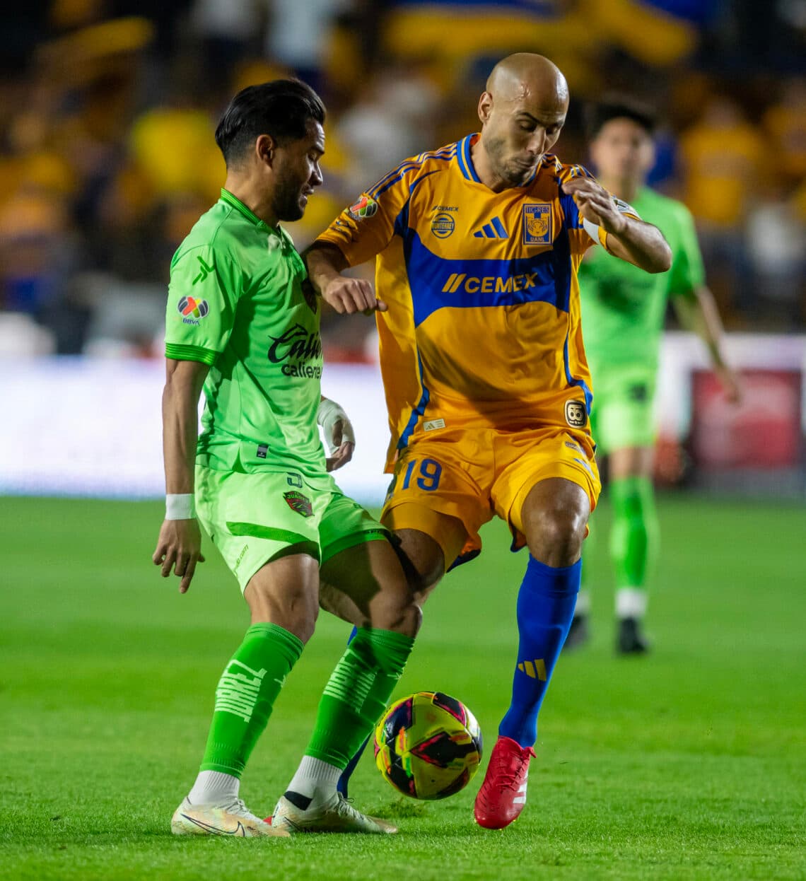 El argentino Pizarro, actual técnico de Tigres, niega complot contra Paunovic
