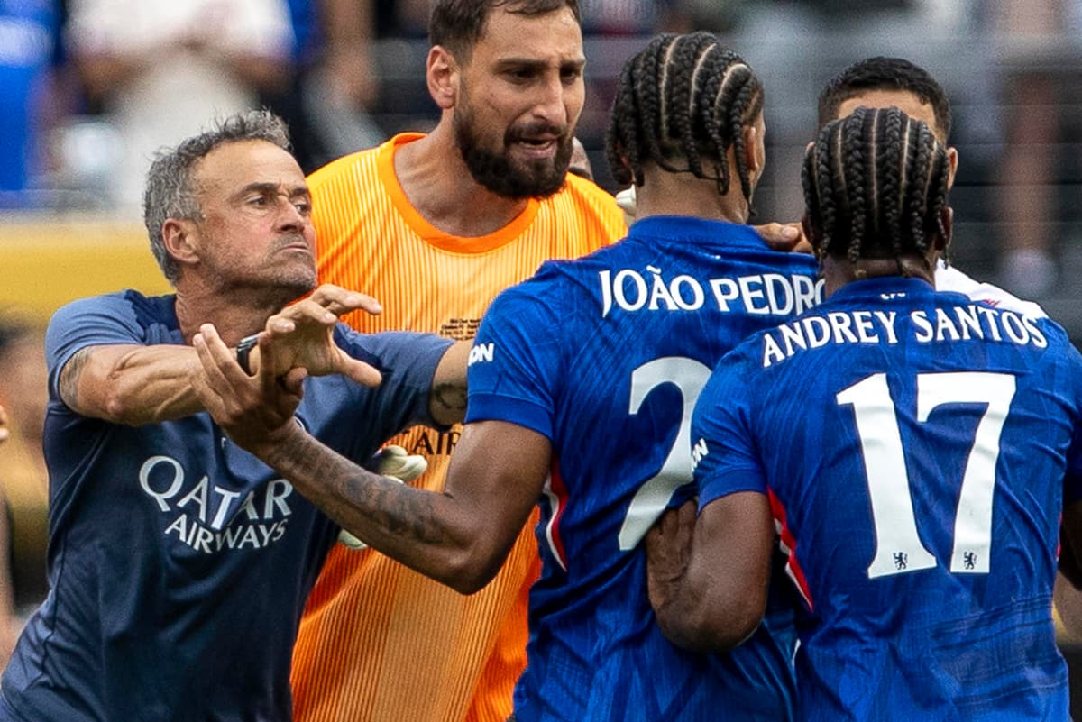 Español Luis Enrique sobre la tangana final: «Mi intención era separar a los jugadores»
