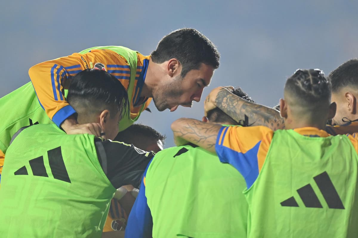 Tigres por la novena estrella