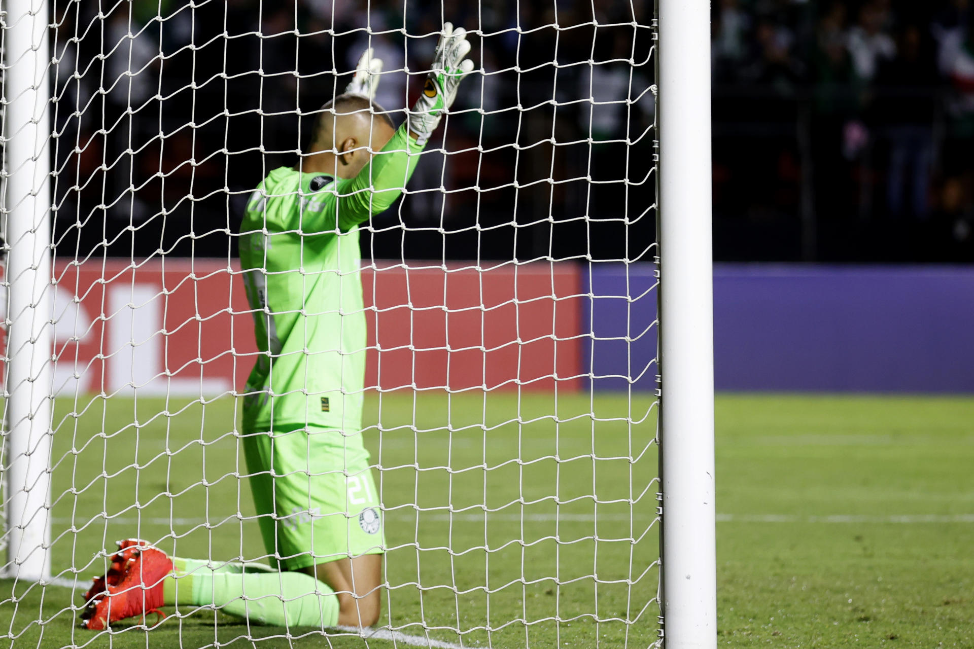 Weverton, arquero de Palmeiras de Brasil, fue registrado este jueves, 20 de abril, al celebrar un gol que su equipo le anotó al Cerro Porteño de Paraguay, durante un partido del grupo C de la Copa Libertadores, en el estadio Morumbi, en Sao Paulo (Brasil). EFE/Sebastiao Moreira 