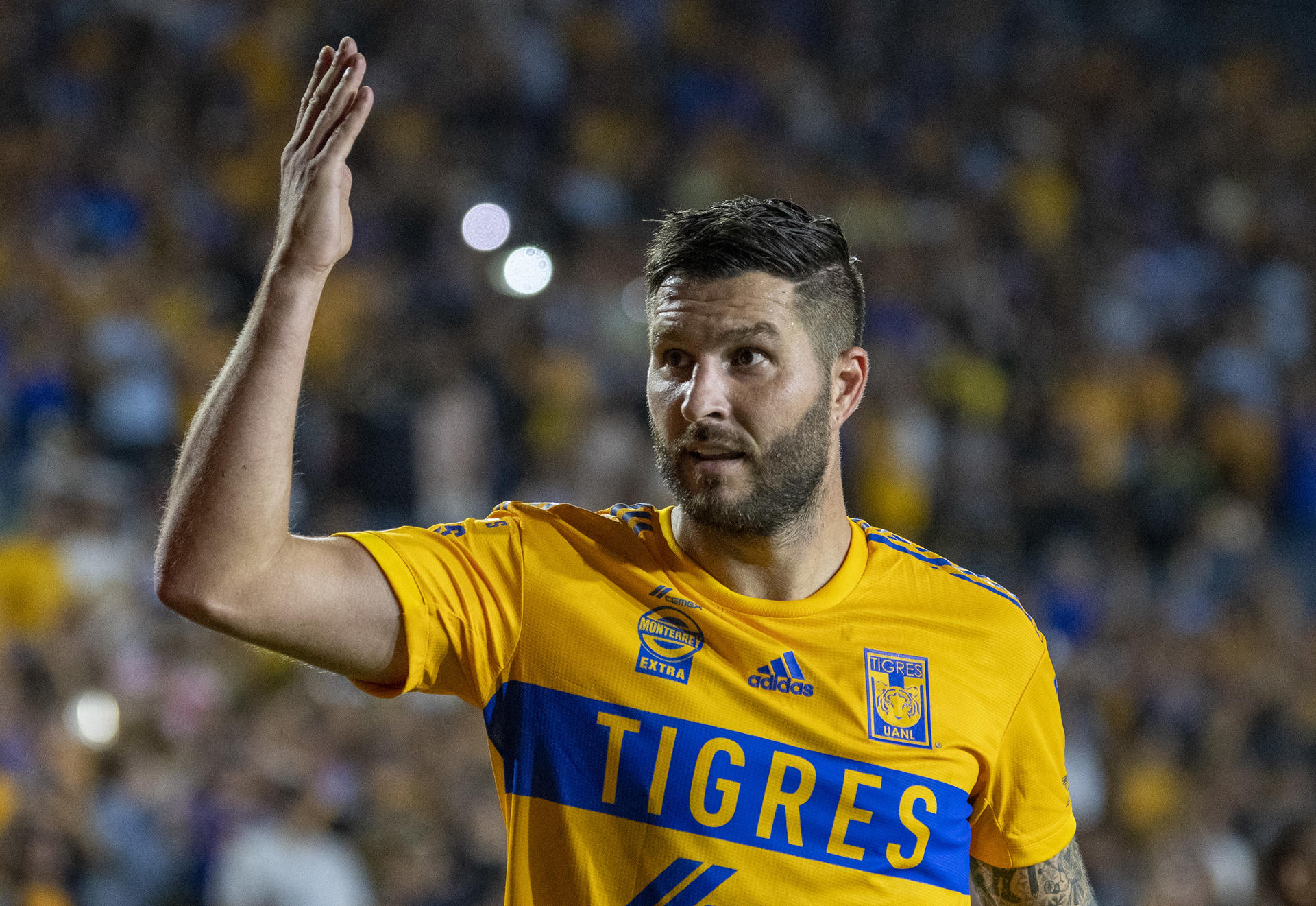 Andre Gignac (i) de Tigres festeja una anotación. Imagen de archivo. EFE/ Miguel Sierra