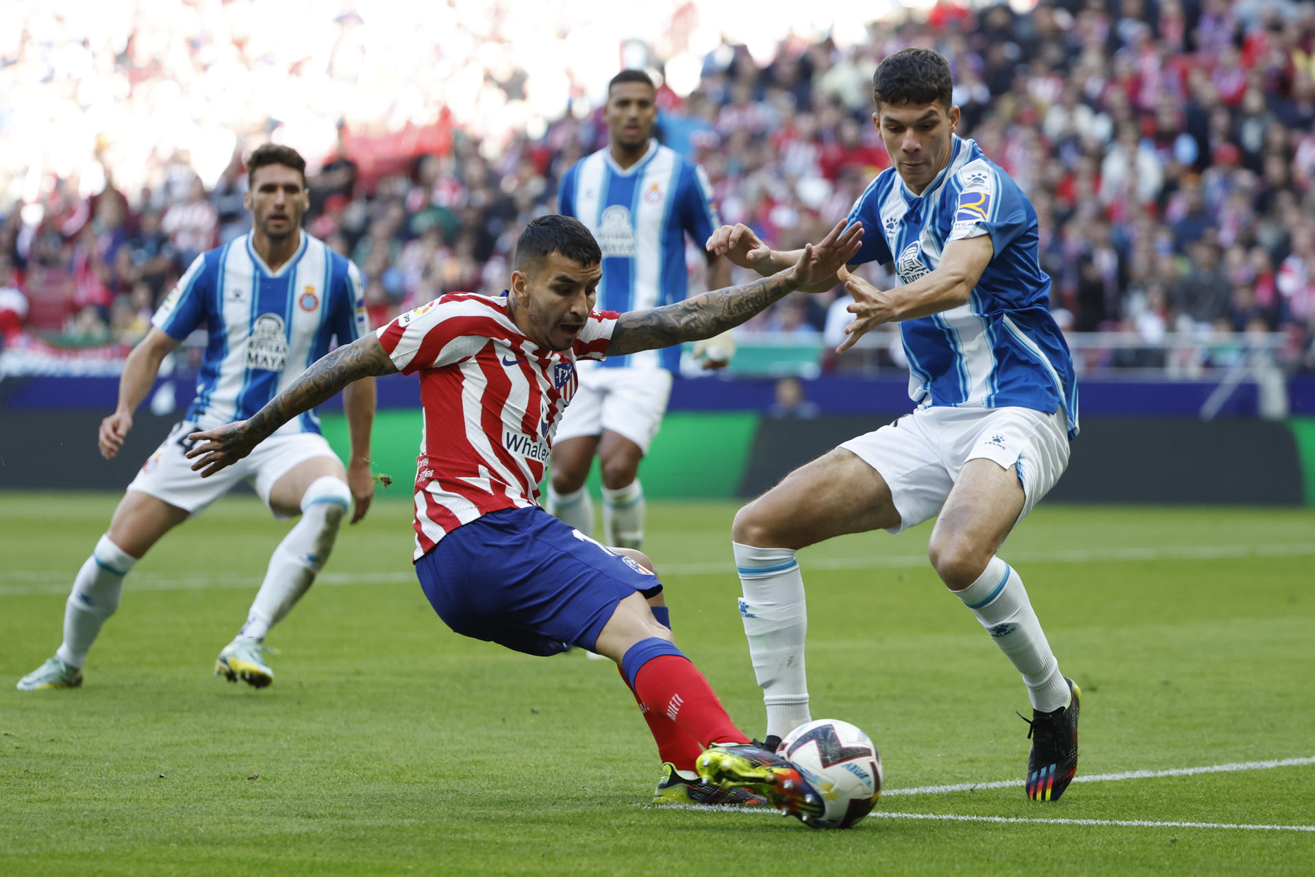 Correa tira a portería en el partido de la primera vuelta entre el Atlético y el Espanyol en el Metropolitano. EFE/JuanJo Martín