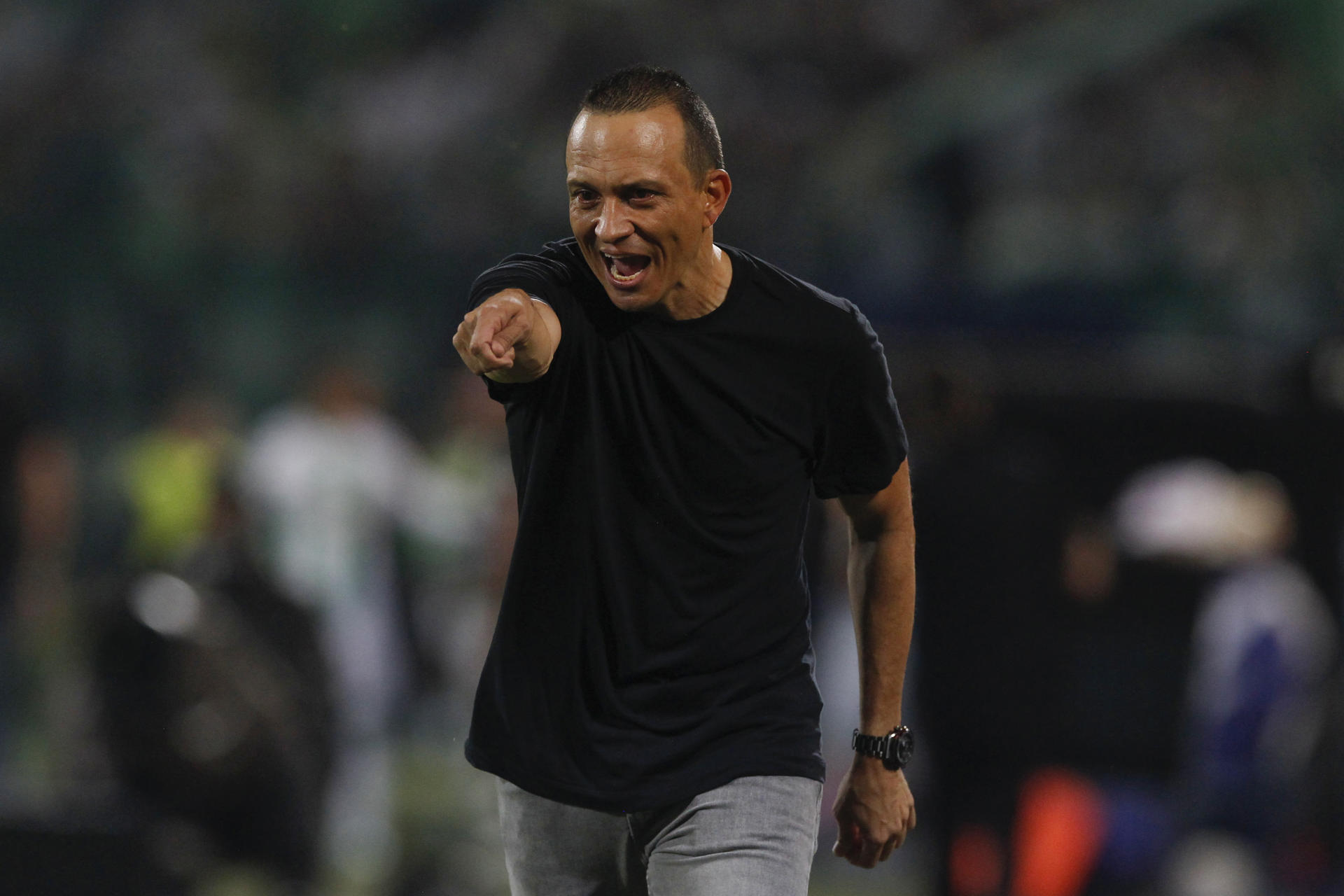 Fotografía de archivo en la que se registró al entrenador del club colombiano de fútbol Deportivo Pereira, Alejandro Restrepo. EFE/Luis Noriega