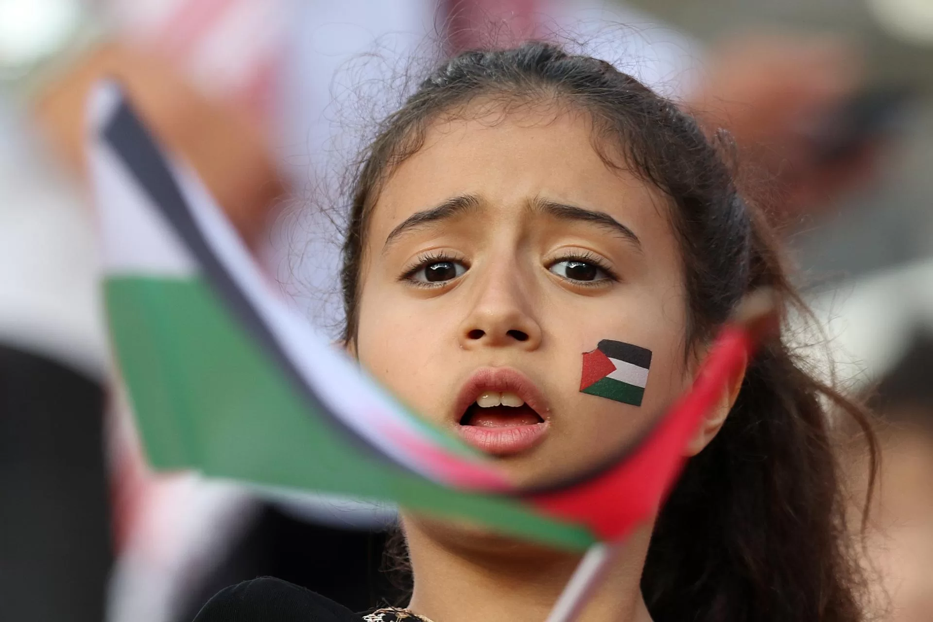 Una seguidora de la selección palestina en una foto de archivo de Mahmoud Khaled. EFE/EPA