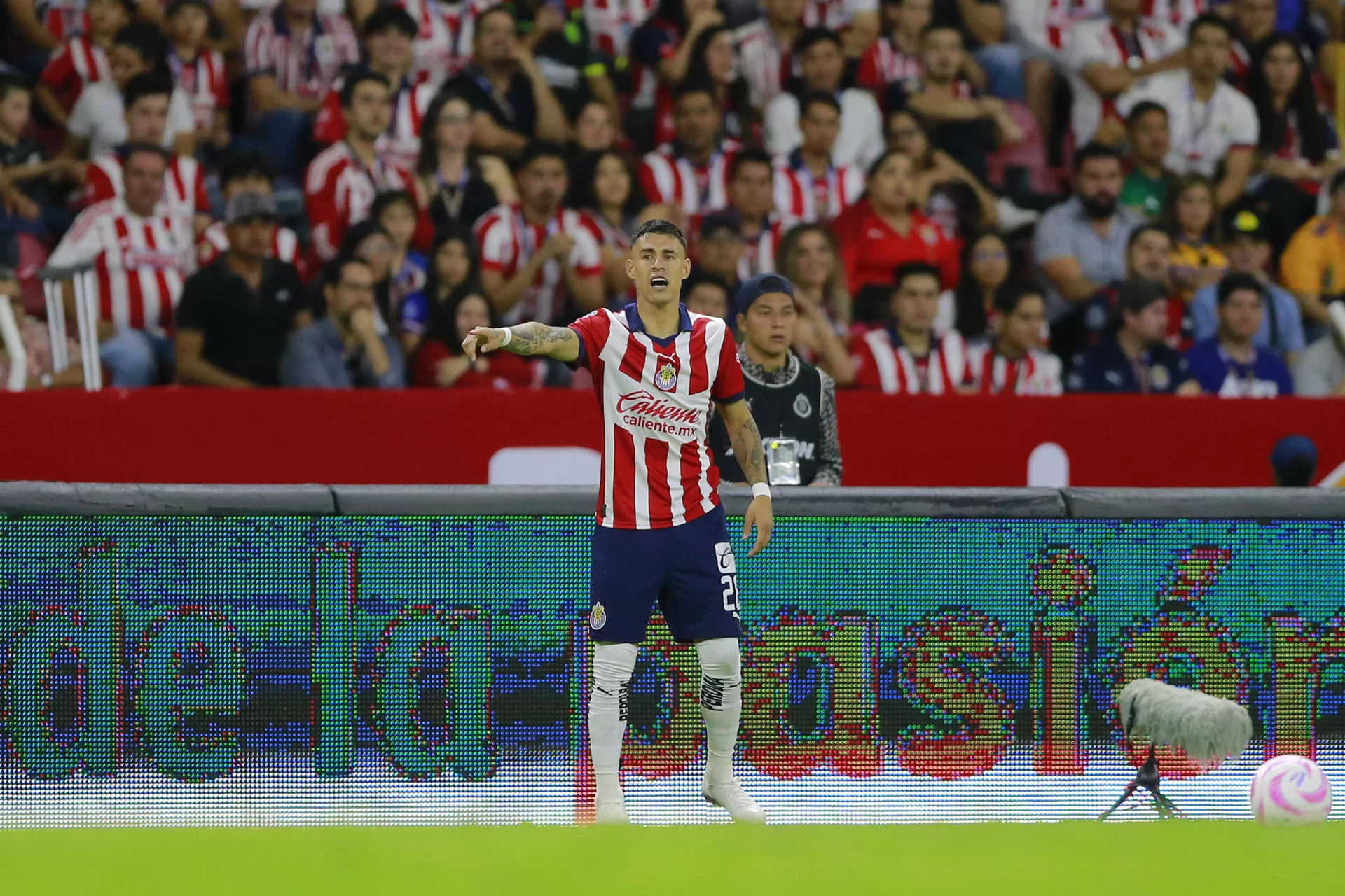 Cristian Calderón del Guadalajara reacciona hoy, durante un partido de la jornada 14 de la liga del fútbol mexicano disputado en el Estadio Jalisco de la ciudad de Guadalajara, Jalisco (México). EFE/ Francisco Guasc 