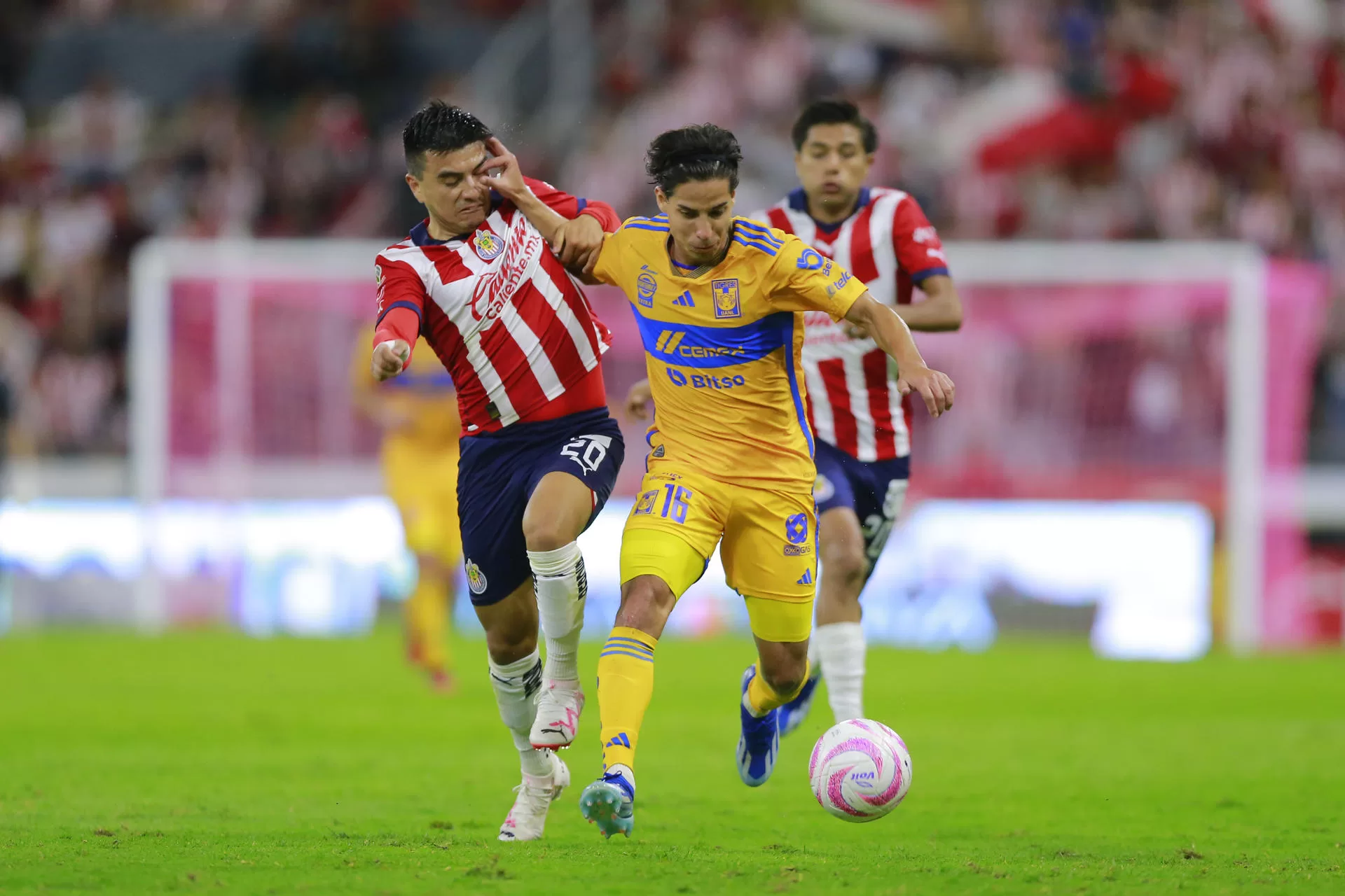 Fernando Beltrán (i) del Guadalajara disputa el balón con Diego Lainez (d) de Tigres hoy, durante un partido de la jornada 14 de la liga del fútbol mexicano disputado en el Estadio Jalisco de la ciudad de Guadalajara, Jalisco (México). EFE/ Francisco Guasc 