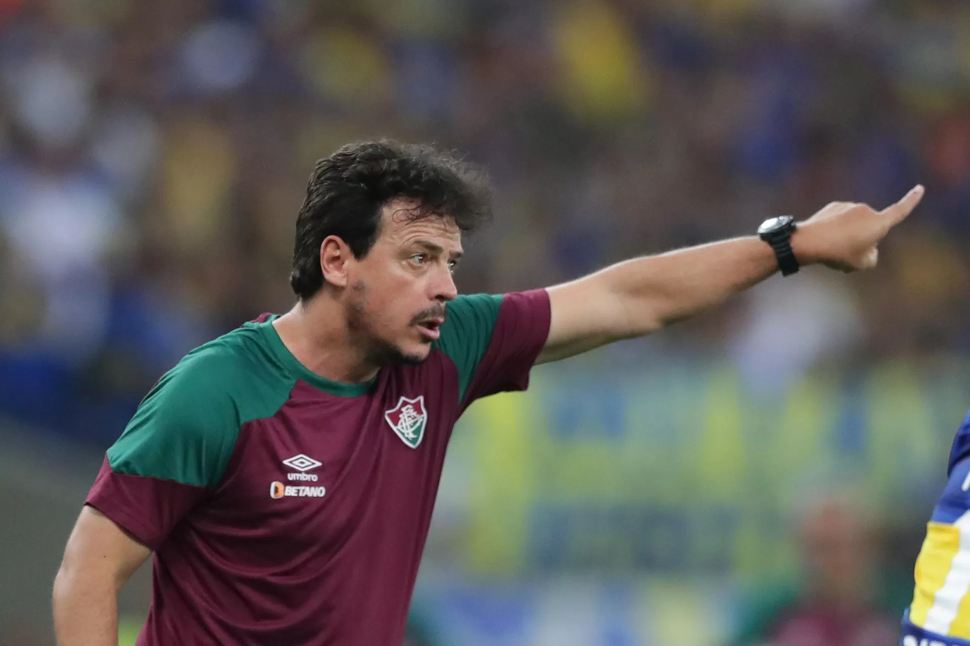 alt Brasileño Diniz dice que el título de la Libertadores amplificará su voz en defensa del fútbol arte