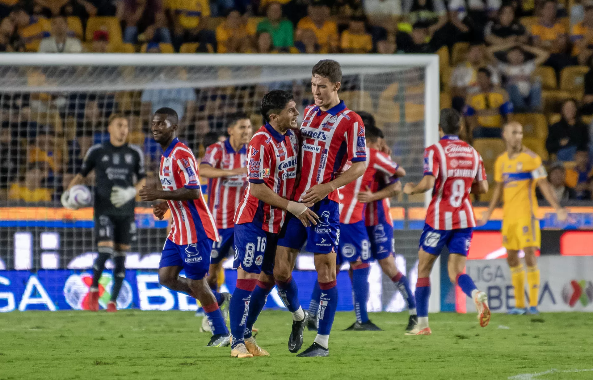 Jugadores de San Luis celebran un gol ante Tigres este 4 de noviembre de 2023, durante un partido correspondiente a la jornada 16 del Torneo apertura 2023 disputado en el estadio Universitario, en Monterrey (México). EFE/Miguel Sierra. 