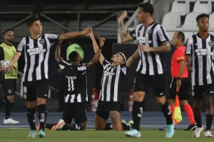 Tiquinho Soares (c) de Botafogo celebra un gol en un partido de la segunda fase de la Copa Libertadores entre Botafogo y Aurora en el estadio Maracaná en Río de Janeiro (Brasil). Foto de archivo. EFE/ Antonio Lacerda