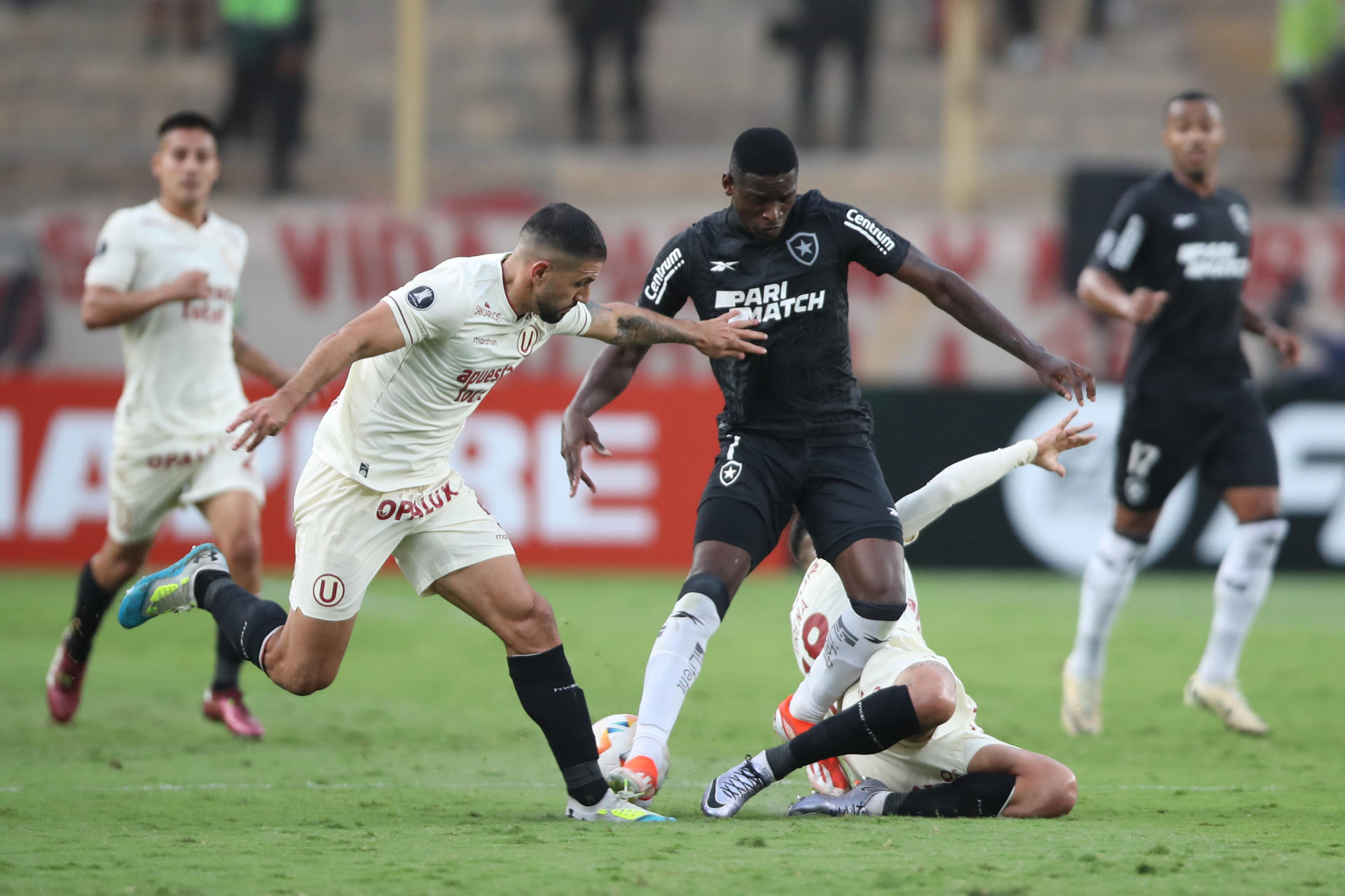 Rodrigo Ureña (d, abajo) y Matías Di Benedetto (i) de Universitario disputan el balón con Luiz André Rosa de Botafogo en un partido de la fase de grupos de la Copa Libertadores. EFE/ Paolo Aguilar 
