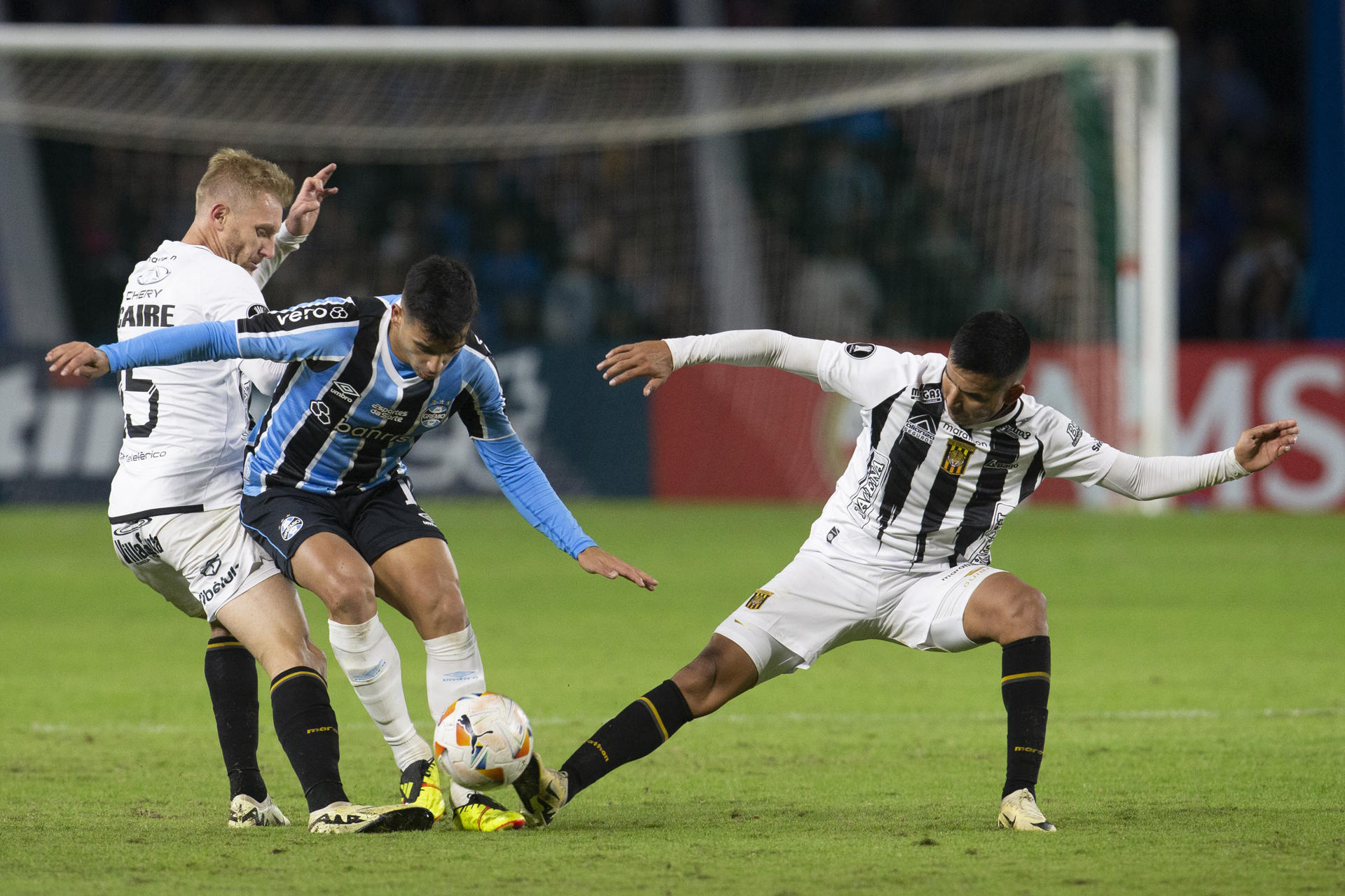 Franco Cristaldo (c) de Gremio disputa un balón con Maximiliano Caire (i) y Álvaro Quiroga (d) de The Strongest en un partido de la Copa Libertadores en Curitiba (Brasil). EFE/ Hedeson Alves 
