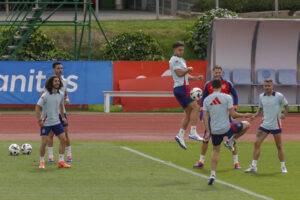 alt Cubarsí, Aleix García y Marcos Llorente, los descartes de De la Fuente para la Eurocopa