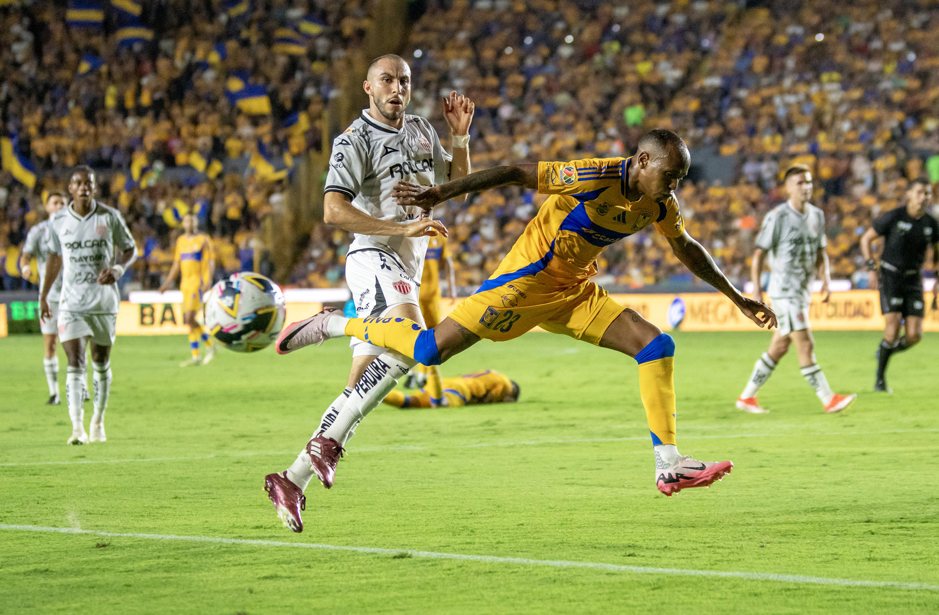 Luis Quiñones (d) de Tigres disputa el balón con Manuel Mayorga (i) de Necaxa durante un partido correspondiente a la jornada una del Torneo Apertura 2024. EFE/Miguel Sierra