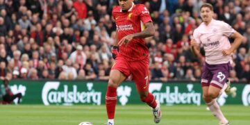 alt Colombianos los únicos latinos en el top goleador de la Premier