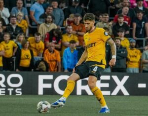 Wolves Bueno Premier