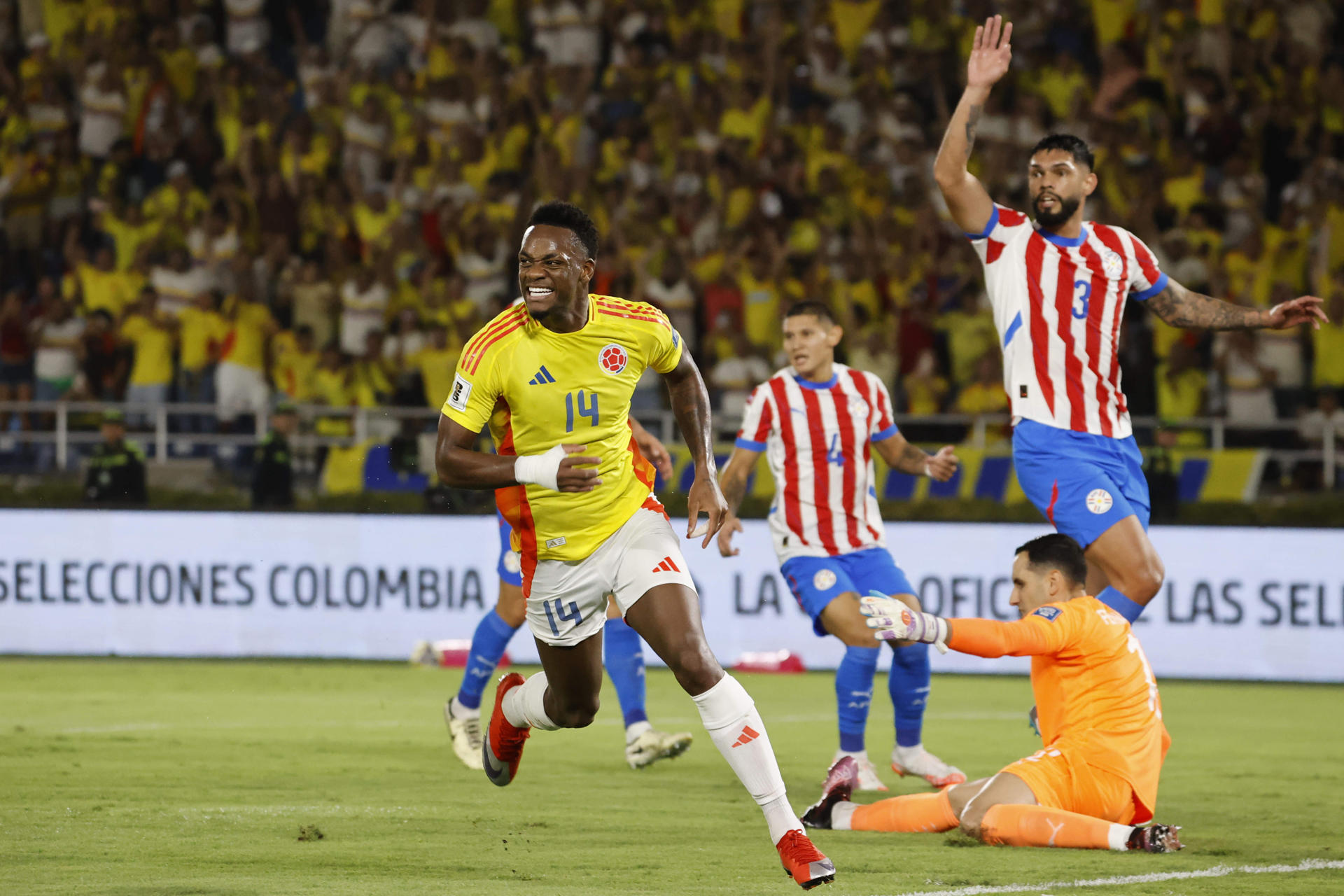 - Jhon Durán de Colombia celebra un gol ante Paraguay en un partido de las eliminatorias sudamericanas para el Mundial de 2026. EFE/Mauricio Dueñas Castañeda