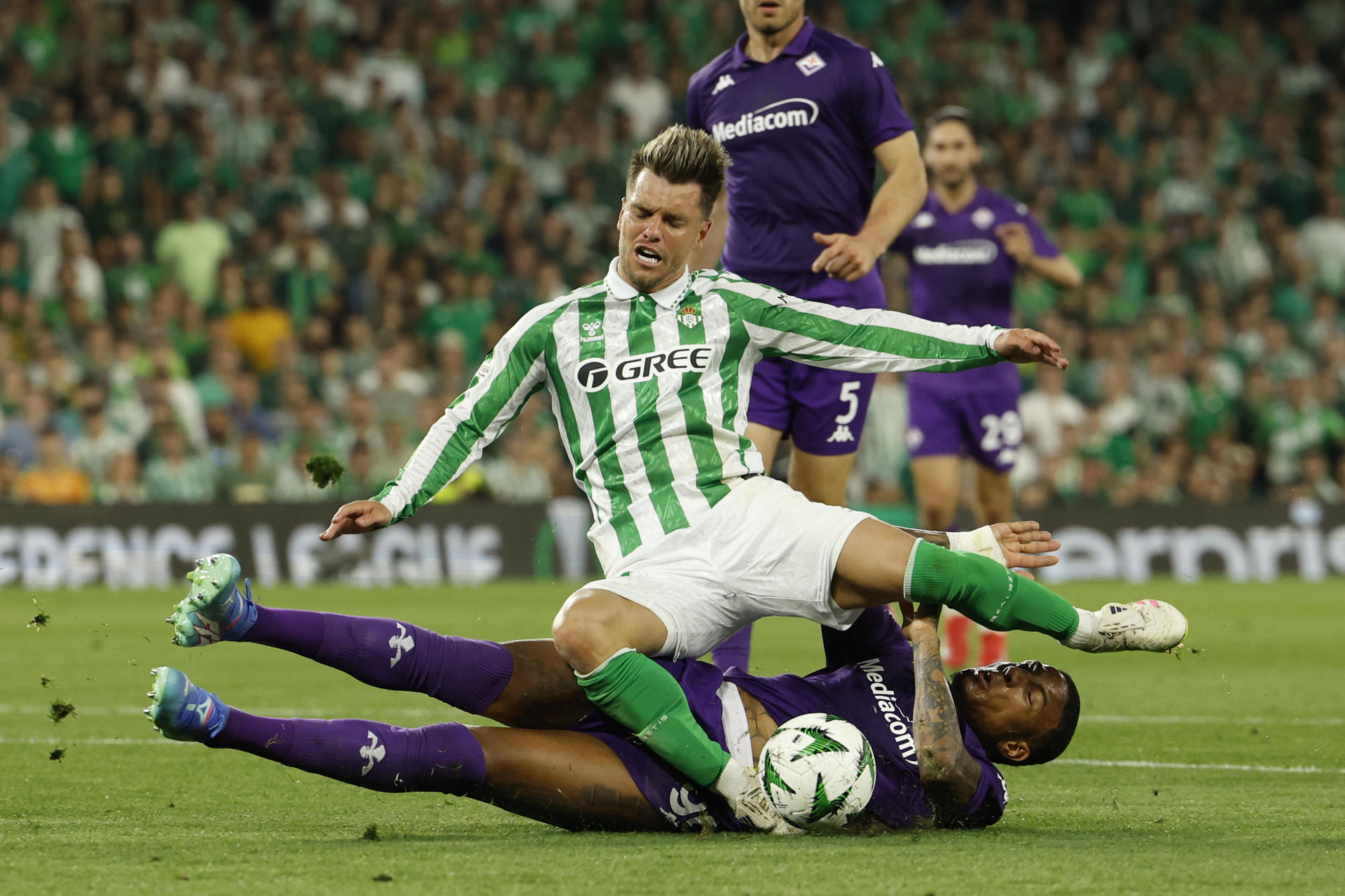 El centrocampista argentino del Betis, Giovani Lo Celso, cae ante el defensor de la Fiorentina durante el partido de ida de las semifinales de la Liga Conferencia en Sevilla. EFE/Julio Muñoz