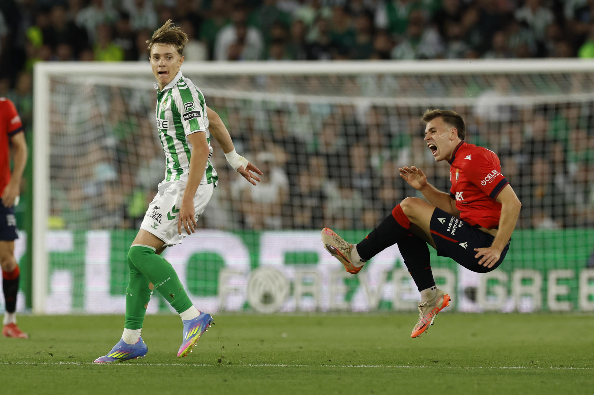 -El centrocampista del Betis Jesús Rodríguez y el centrocampista de Osasuna Pablo Ibáñez, durante el partido de la jornada 35 de LaLiga EA Sports entre el Betis y el Osasuna, este domingo en el estadio Benito Villamarín en Sevilla.-EFE/ Julio Munoz