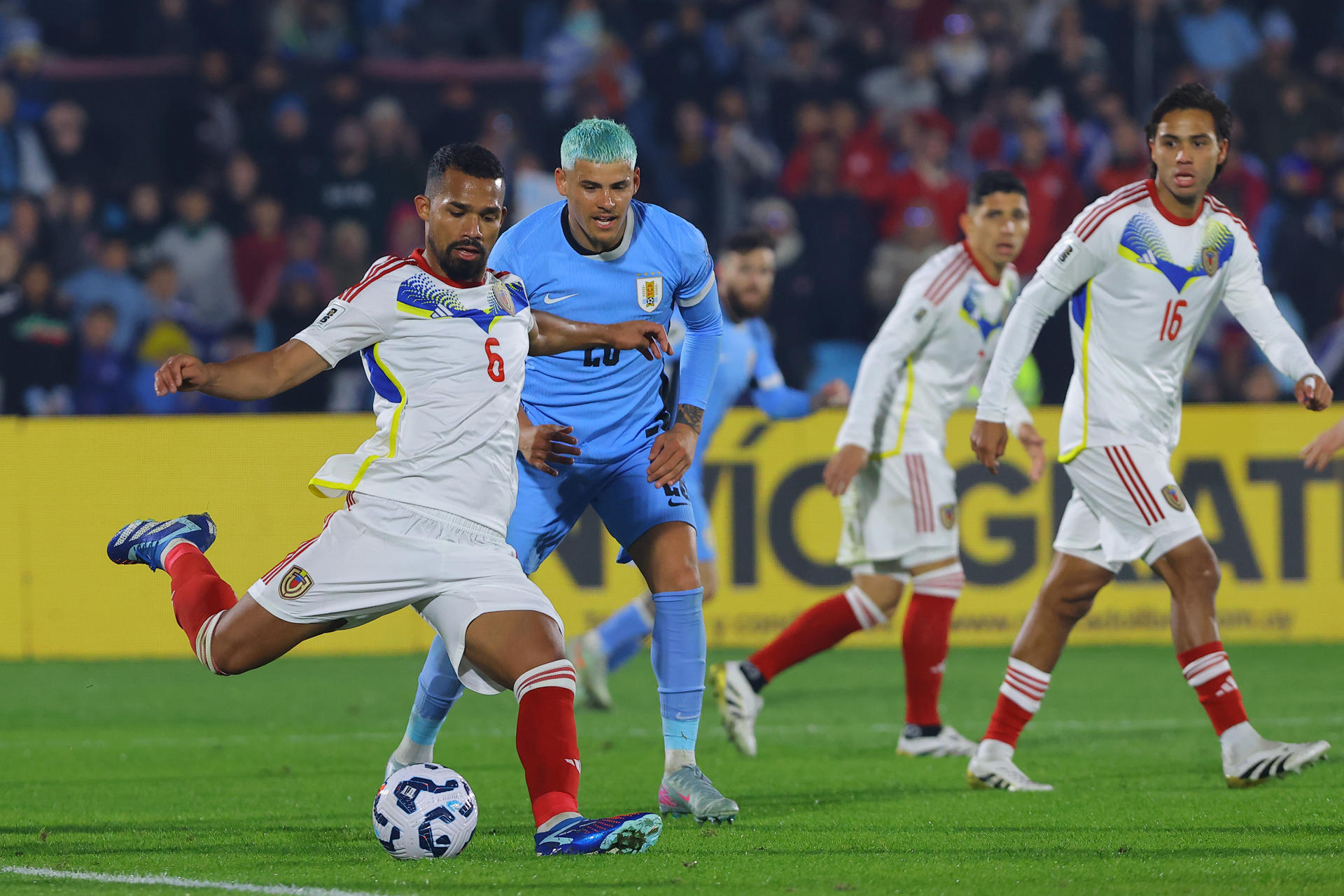 El extremo uruguayo Maximiliano Araújo (c) marca elavance del centrocampista venezolano Yangel Herrera (i) durante el partido de las eliminatorias del Mundial de 2026 que la Celeste ganó este martes por 2-0 a la Vinotinto en el estadio Centenario en Montevideo. EFE/ Gastón Britos