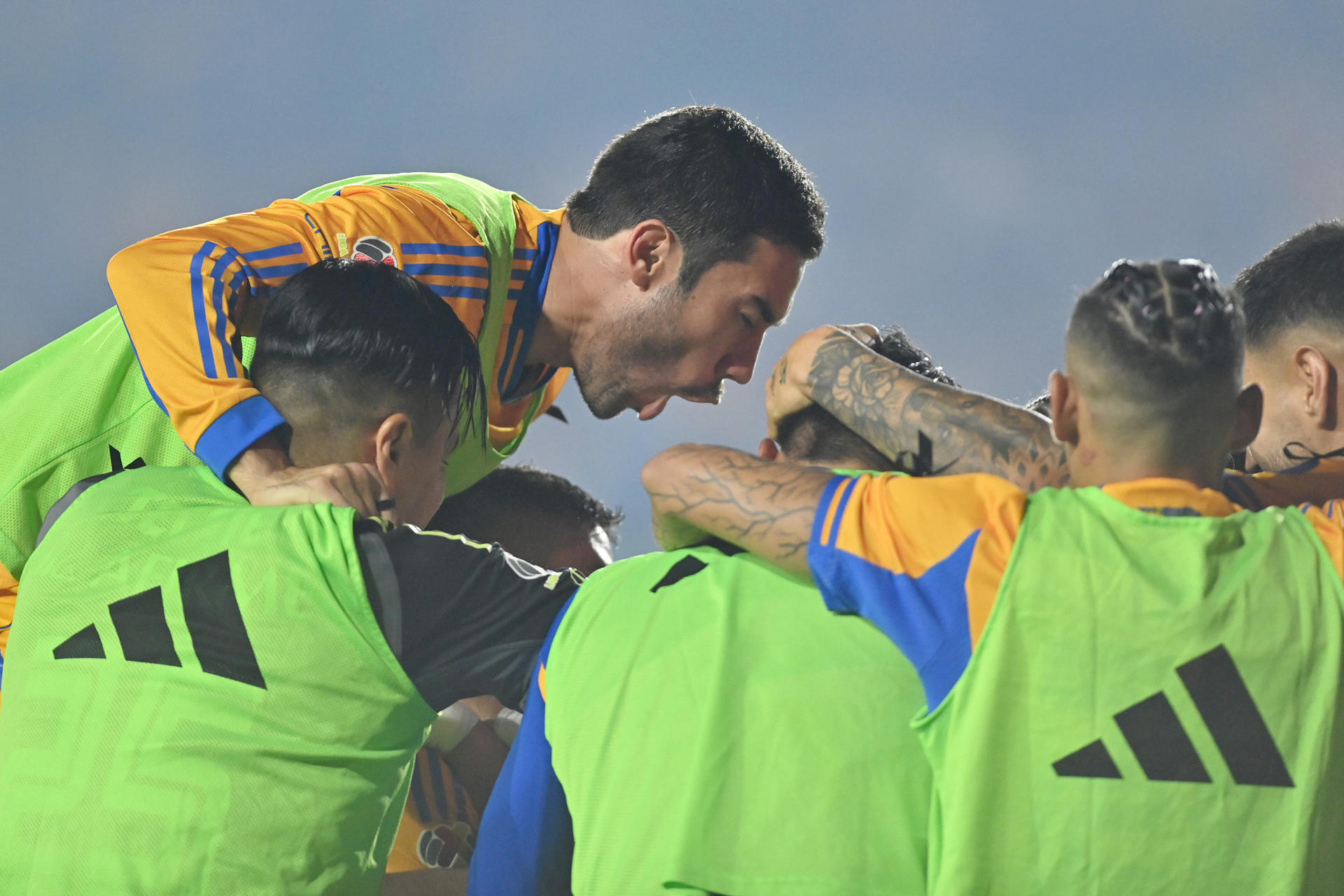 Tigres por la novena estrella