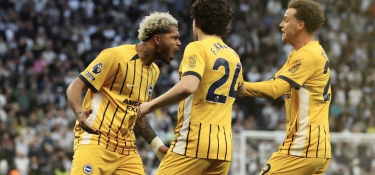 Brighton Tottenham Premier