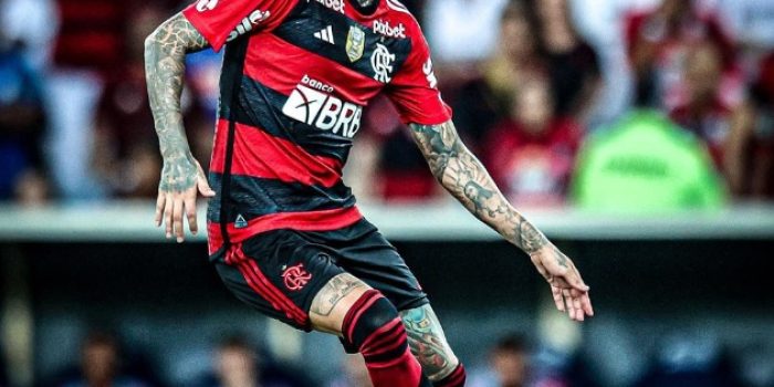 Erick Pulgar Flamengo