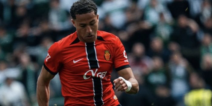 Mallorca Mojica Demichelis