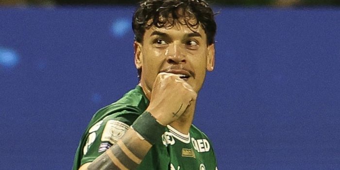 Palmeiras Brasil Arias Gomez
