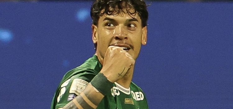 Palmeiras Brasil Arias Gomez