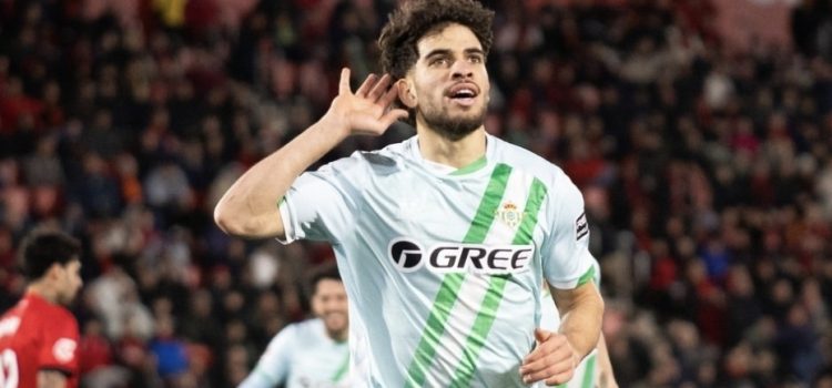 Screenshot_20260215_232553_Instagram