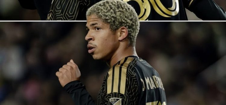 Screenshot_20260222_120601_Instagram