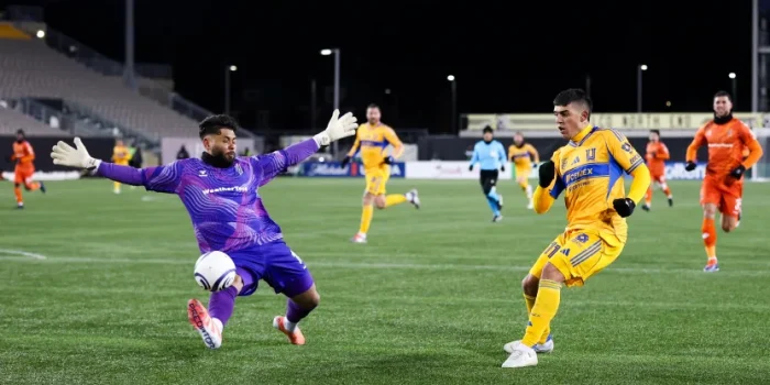 nnsvhabrsty4beefbob3