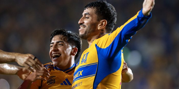 alt Tigres