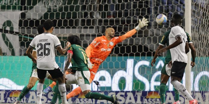 Gregore da Silva (i) de Botafogo anota un gol en un partido del Brasileirao serie A. EFE/ Isaac Fontana